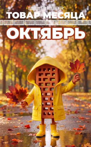 Акция «Товар месяца» на керамическую продукцию BRAER весь Октябрь