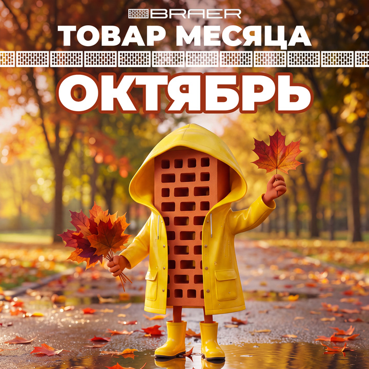 Акция «Товар месяца» на керамическую продукцию BRAER весь Октябрь