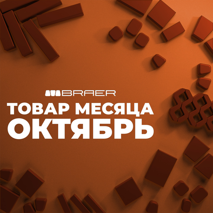 Акция «Товар месяца» на тротуарную плитку BRAER весь октябрь