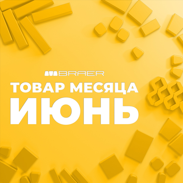 Акция «Товар месяца» на тротуарную плитку BRAER, весь Июнь