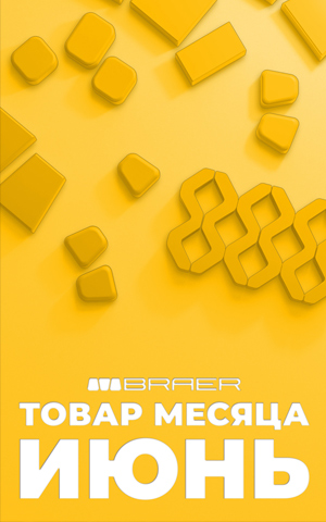 Акция «Товар месяца» на тротуарную плитку BRAER, весь Июнь