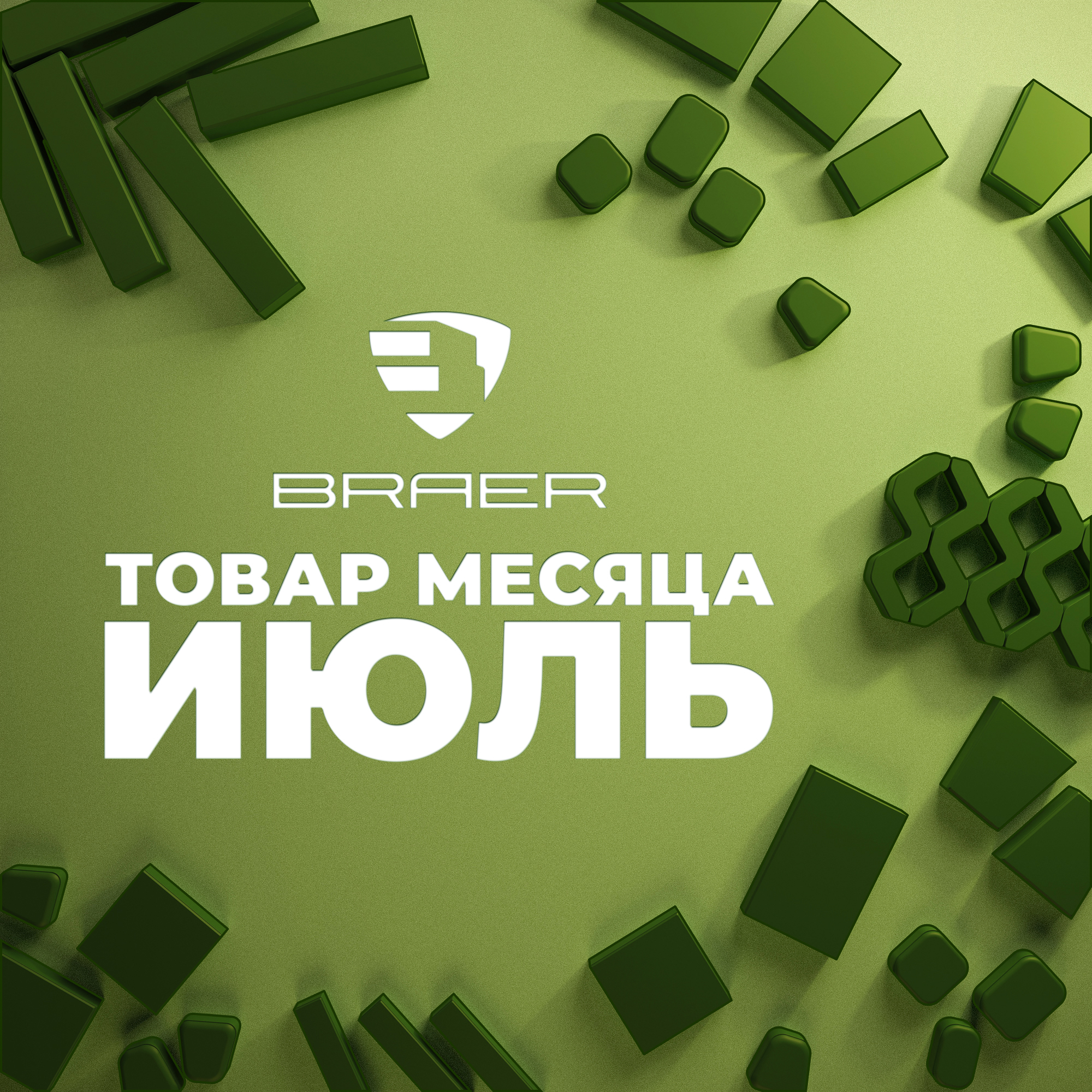 tovar-mesyatsa-braer-jule-2024