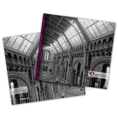 braer_arch_2016_460.png