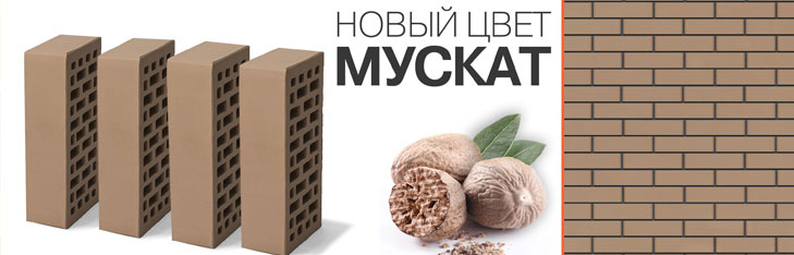 Браер мускат Браер мускат