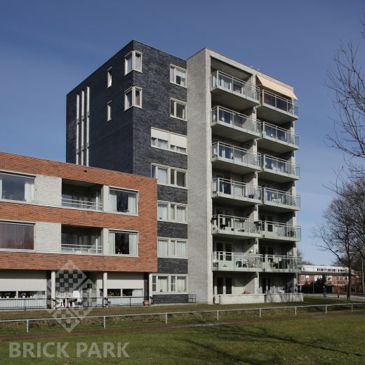 Кирпич Daas Baksteen Aston WDF