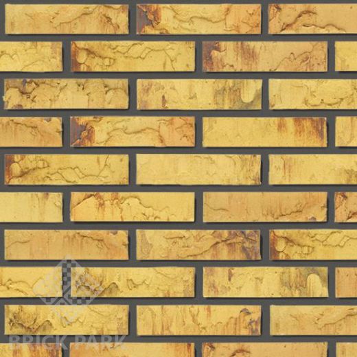 Кирпич Daas Baksteen Maplewood SNF