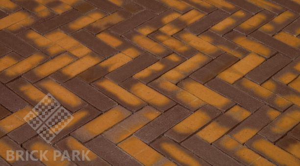 Клинкерная брусчатка Penter Zonnebloem Wasserstrich DF85