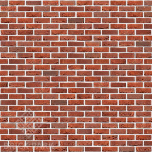 Кирпич Nelissen Passion Antikrot WDF65