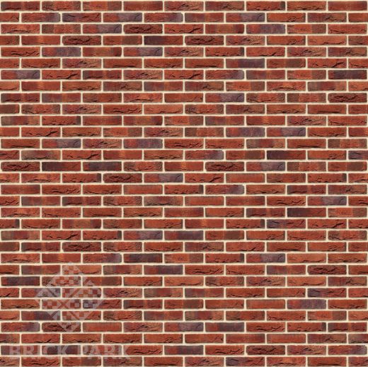 Кирпич Nelissen Autrique WDF65