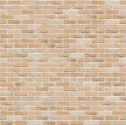 Кирпич Nelissen Braga WDF65