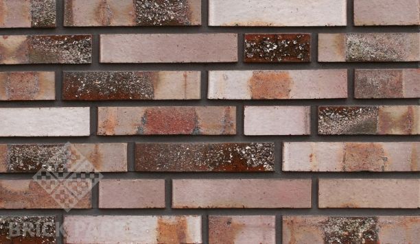  Кирпич Hagemeister Klinker Haltern Gt DF