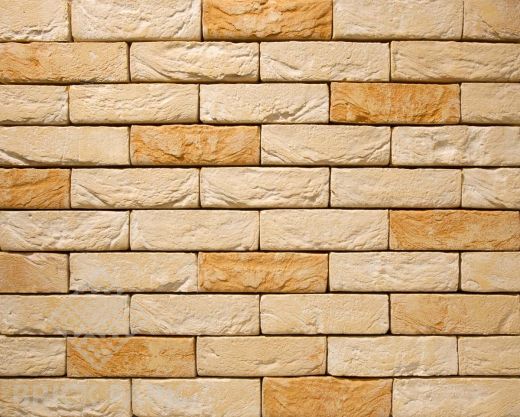 Кирпич Nelissen Monet WDF65