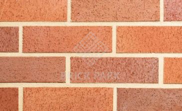 Кирпич Abc 0057 Suddendorf rot bunt geflammt NF90