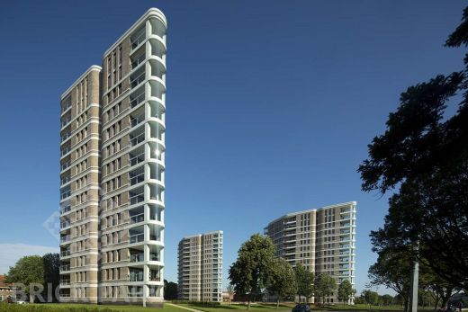 Кирпич Daas Baksteen Birchwood NF