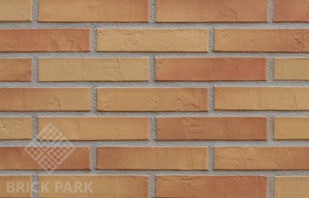 Кирпич Hagemeister Klinker Speyer Gt