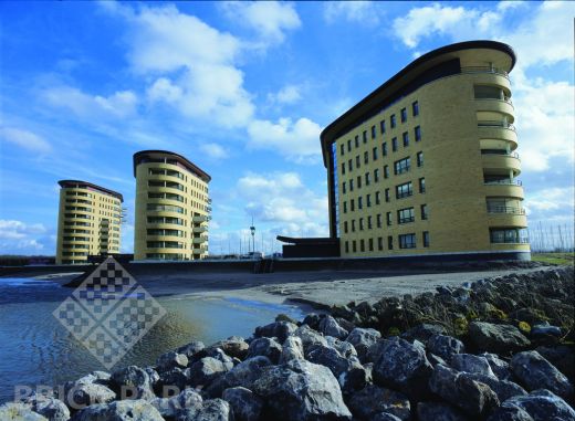 Кирпич Daas Baksteen Sussex Multi SDF