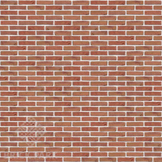 Кирпич Nelissen Kleurige Klinker WDF65