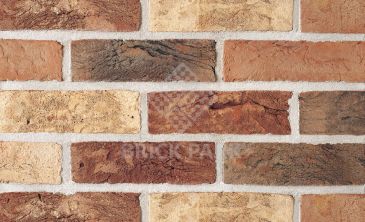 Кирпич Terca Cienna WFD65