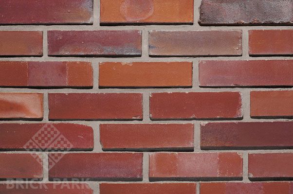 Кирпич Crh Clay Solutions GOTIKA 5/7