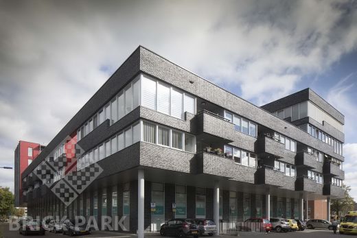 Кирпич Daas Baksteen Ebonywood WDF