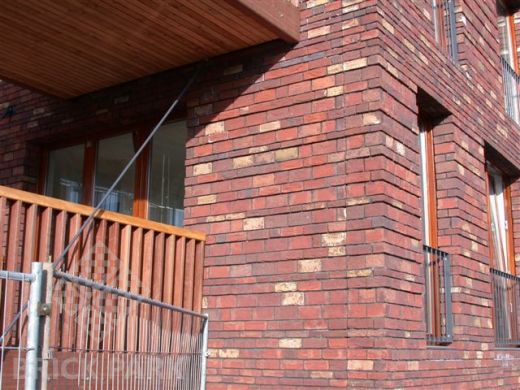 Кирпич Engels Kameleon WDF1/2