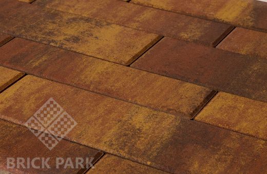 Бетонная брусчатка БРАЕР Домино Color mix 24 Сафари 360x120x60