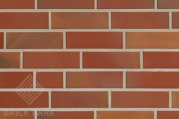 Клинкерная плитка Abc Borkum Glatt