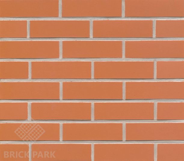 Клинкерная плитка Feldhaus Klinker Terracotta Liso R 220 NF 9