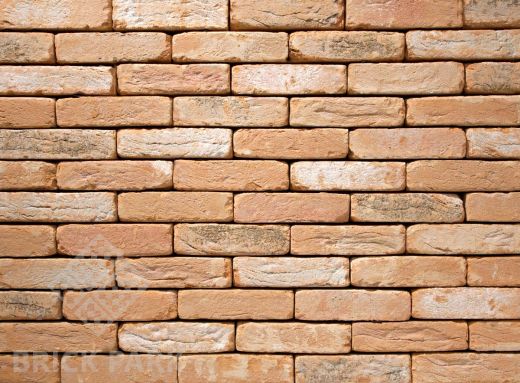 Кирпич Nelissen Nuance Siena Zilver WDF65