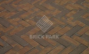 Клинкерная брусчатка Penter Oliva Wasserstrich DF85