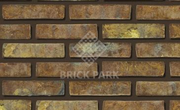 Кирпич Daas Baksteen Golborn WDF