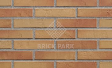  Кирпич Hagemeister Klinker Speyer Gt