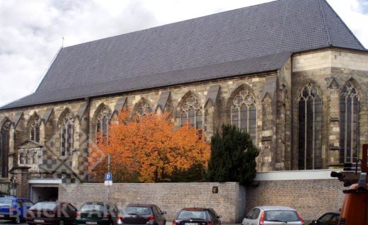 Керамическая черепица Roben FLANDERN Altfarben (Старые краски, Темно-коричневый, ангоб)