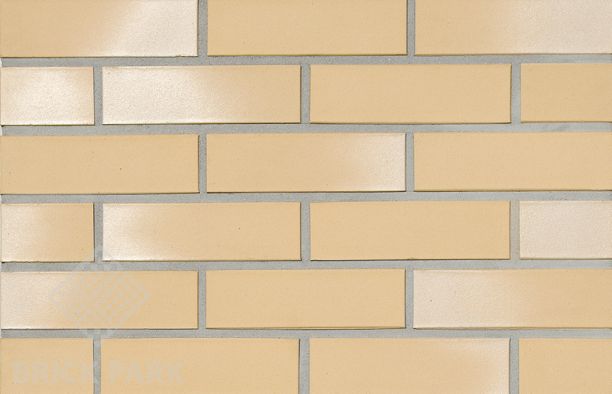  Кирпич Hagemeister Klinker Mannheim Gt