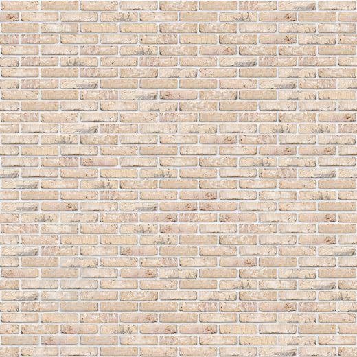 Кирпич Nelissen White Sintered WV50