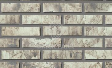 Кирпич Daas Baksteen Birchwood WDF