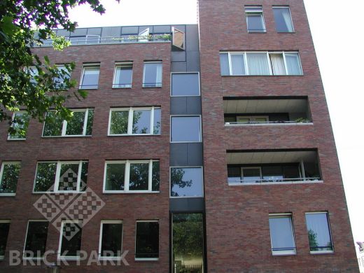 Кирпич Daas Baksteen Preston SNF