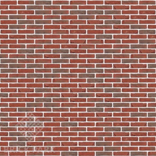 Кирпич Nelissen Alems Bont WV65