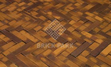 Клинкерная брусчатка Penter ZONNEBLOEM WASSERSTRICH WF85