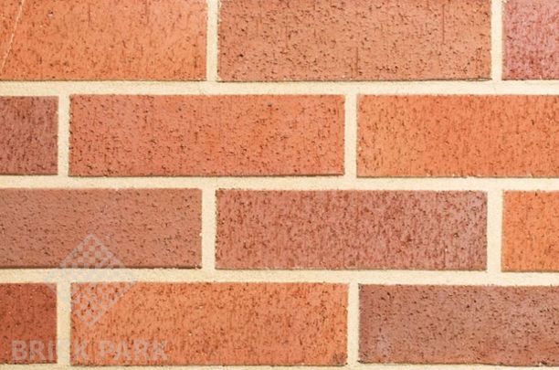 Кирпич Abc 0057 Suddendorf rot bunt geflammt NF55