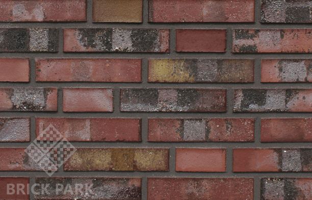 Кирпич Hagemeister Klinker Lubeck DFGt