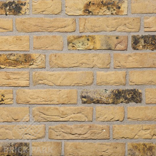 Кирпич Daas Baksteen Yellowstone Gesinterd WF