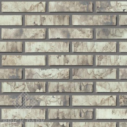 Кирпич Daas Baksteen Birchwood CF