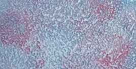 Декоративное финишное покрытие Marvel Masco Matte