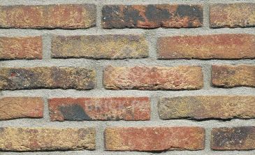 Кирпич Terca Branda WF50