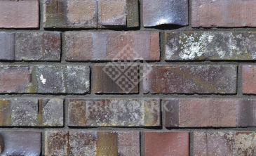 Wittmunder Torfbrand Klinker 04