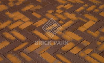 Клинкерная брусчатка Penter Zonnebloem Wasserstrich DF85