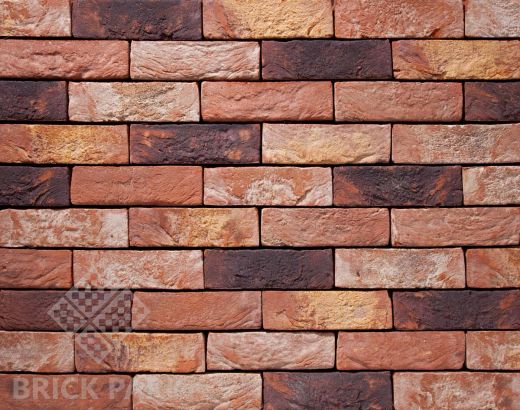 Кирпич Nelissen Nuance Robinia WDF65