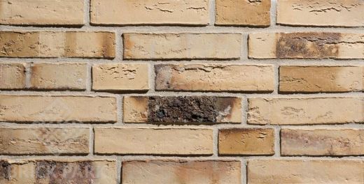 Ringofenklinker Wasserstrich creme-weiß Kohlebrand