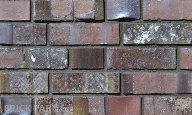 Wittmunder Torfbrand Klinker 04